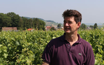 Olivier Bonville, un vigneron 100% Chardonnay