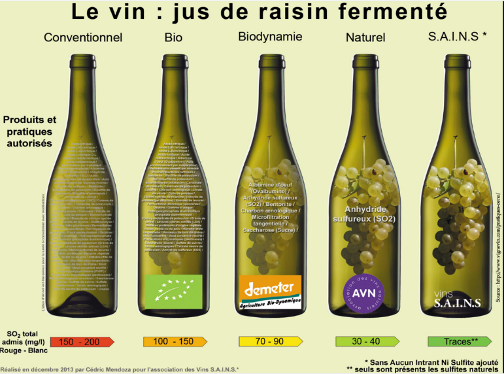 infographie représentant les quantité de soufre dans le vin selon la classification : vin conventionnel, vin bio, vin en biodynamie, vin naturel, vin S.A.I.N.S