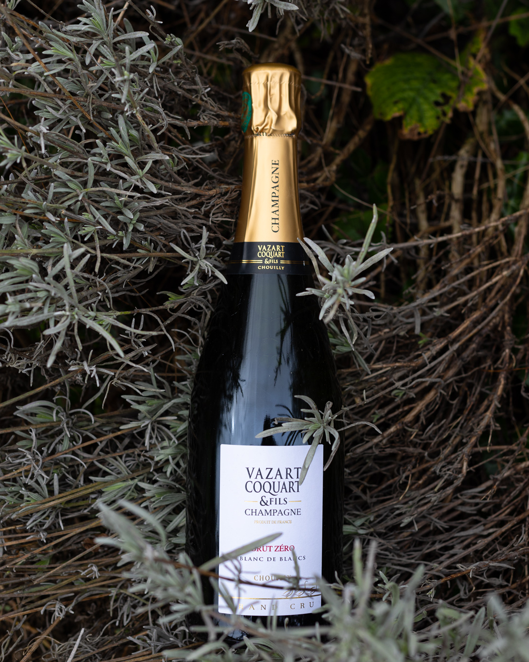 Vazart_Coquart_3 Bouteille Moët & Chandon