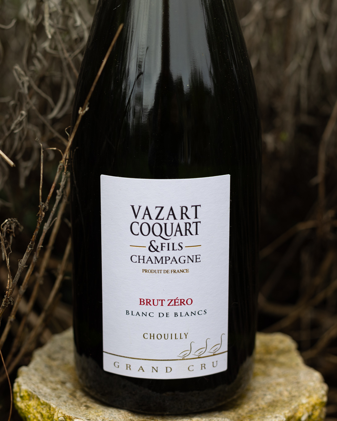 Vazart_Coquart_5 Zoom bouteille Moët & Chandon