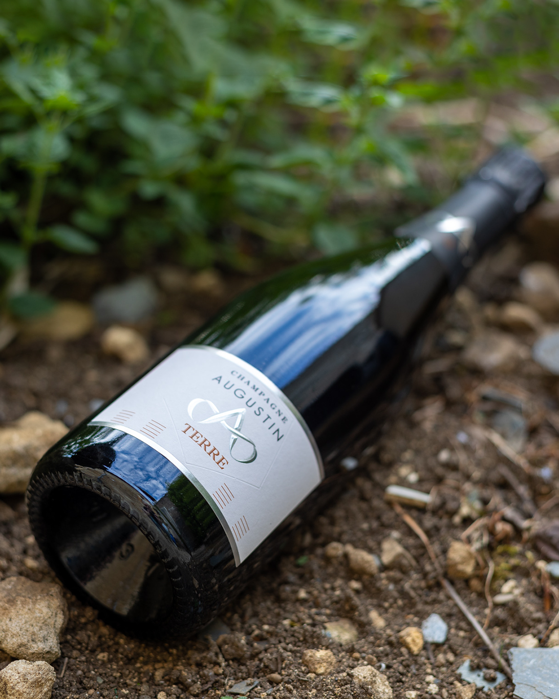 Augustin Bouteille Moët & Chandon