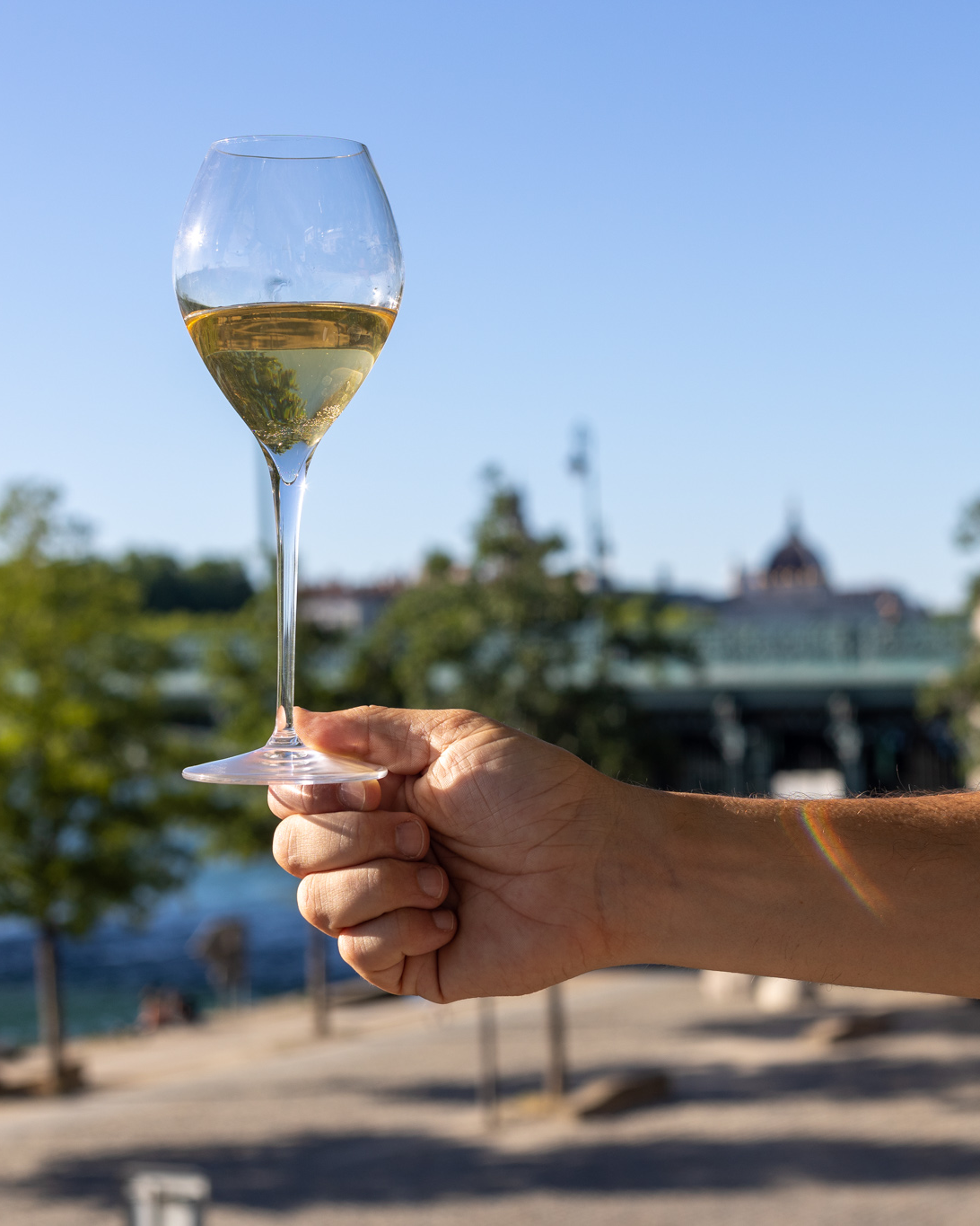 Zoom bouteille Moët & Chandon