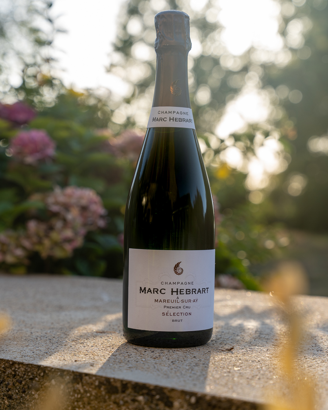 MARC4 Bouteille Moët & Chandon