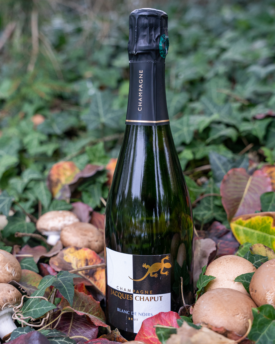 chaput_blanc_de_noir Zoom bouteille Moët & Chandon
