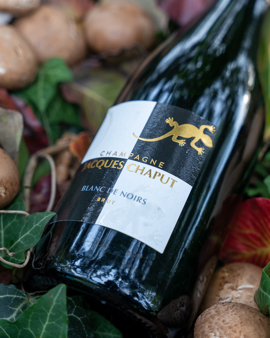 degust_chaput Bouteille Moët & Chandon