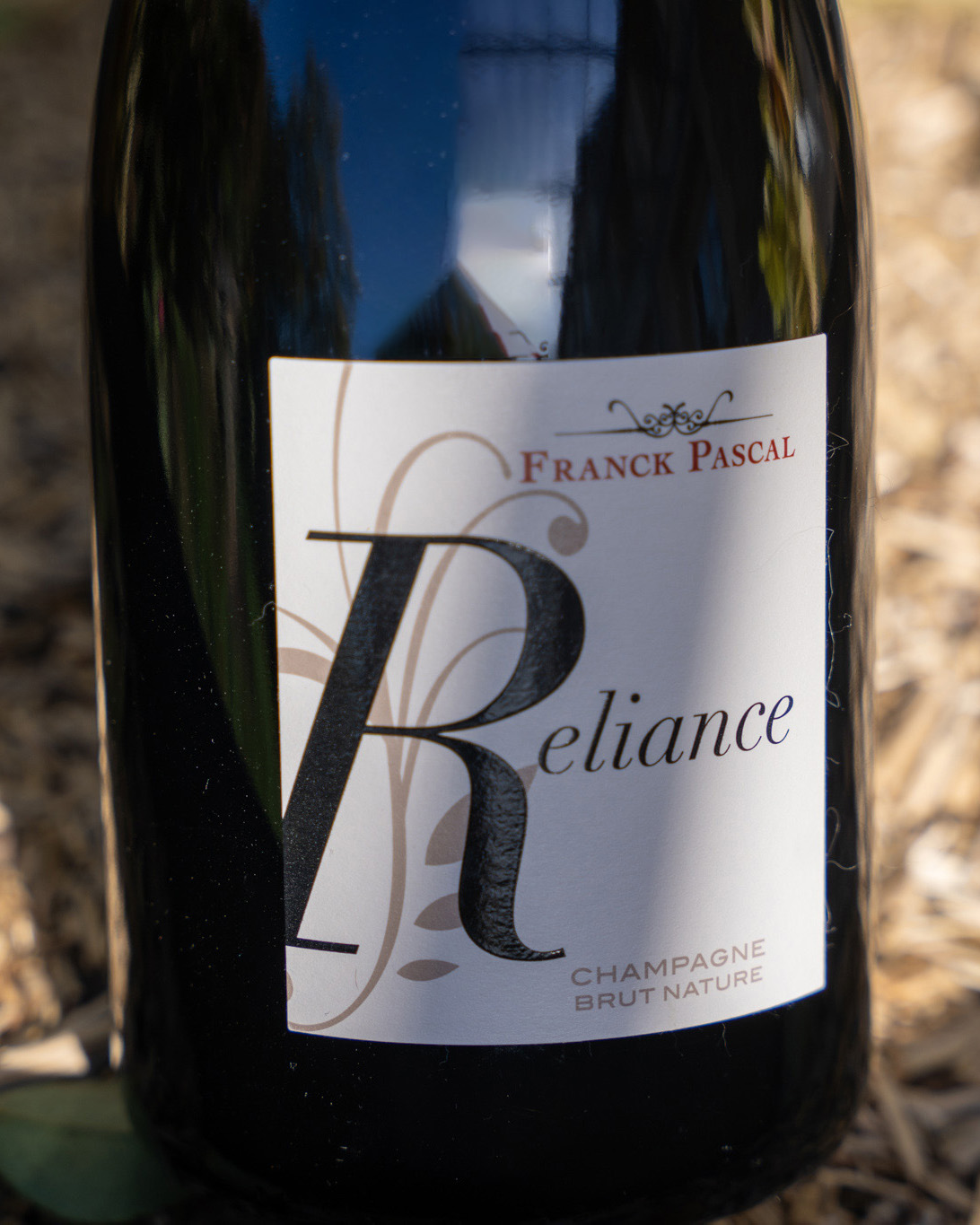 degust_reliance Zoom bouteille Moët & Chandon