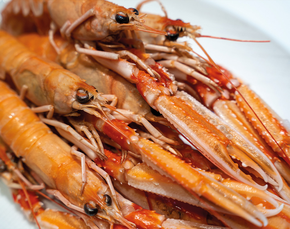 RECETTE_BOUCHENOIRE1