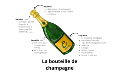 Conseils pour choisir un champagne adapté à vos goûts