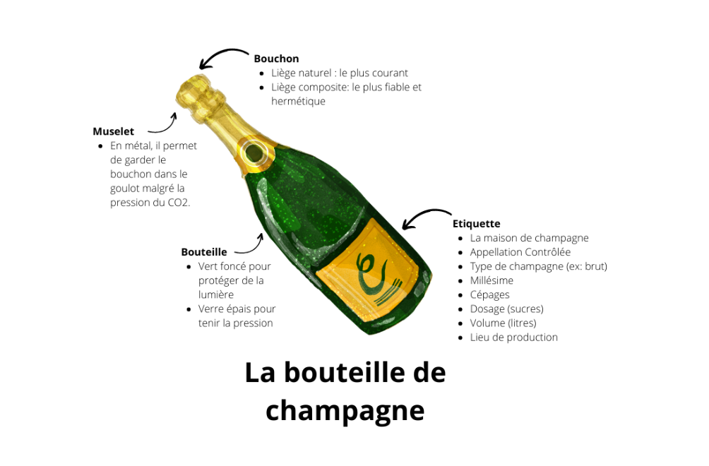 Taille d'une bouteille de vin et champagne <