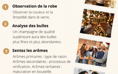 L’initiation à la dégustation de champagne : des arômes et des saveurs