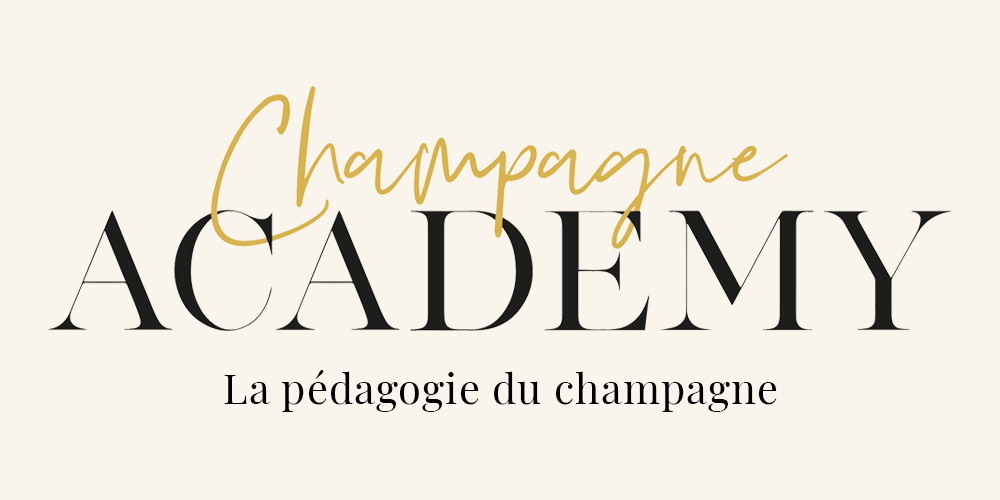 Les podcasts de Plus de Bulles
