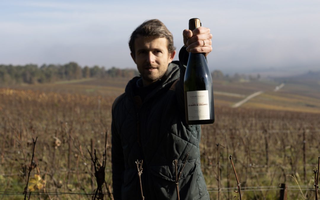 Champagne de vigneron : les meilleurs au monde ?