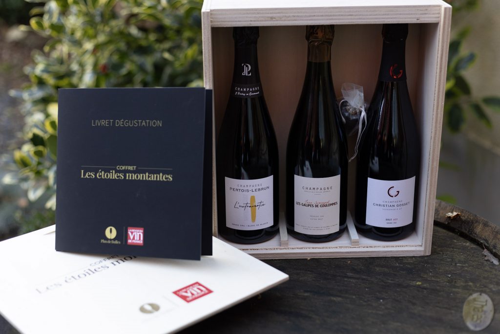 Champagne de vigneron Pertois-Lebrun, Christian Gosset