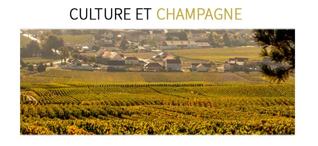 Champagne Academy de Plus de Bulles : culture et champagne