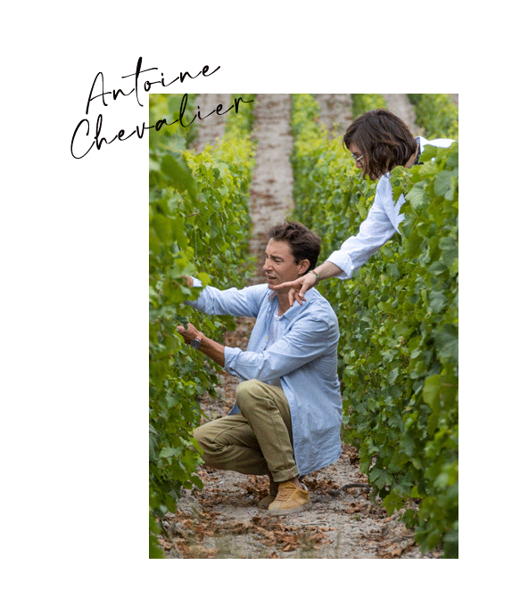 Portrait_etoiles_montantes_antoinechevalier_noir